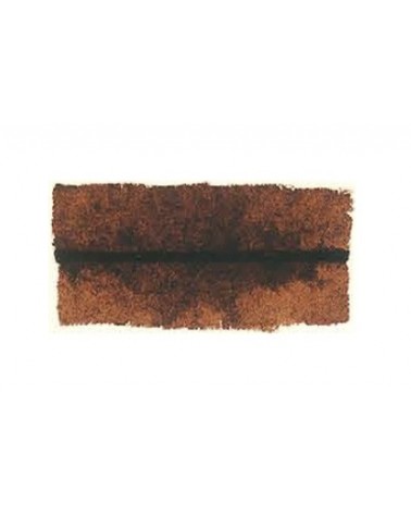 Burnt Umber