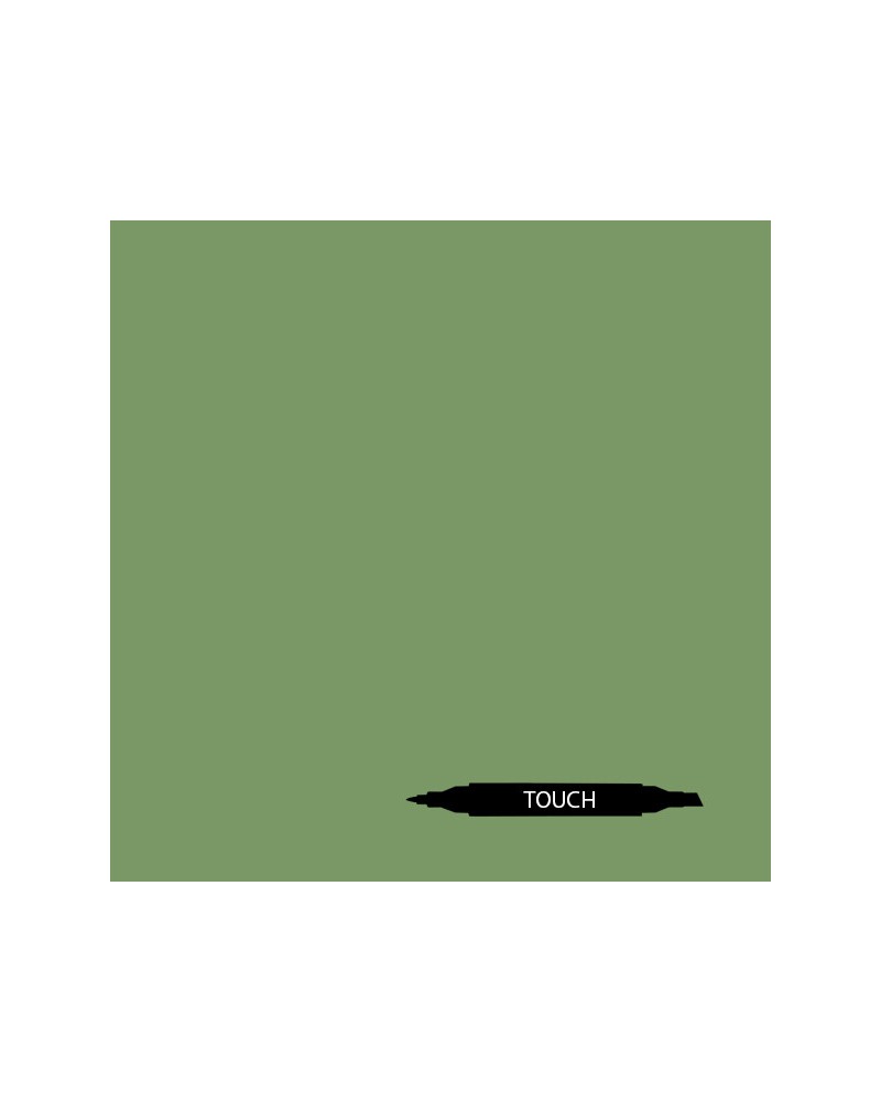 043 - vert olive profond - Touch