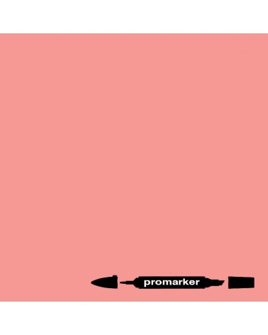 Promarker - 021 - lie de vin