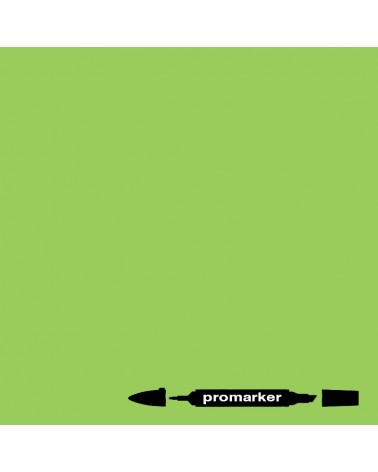 Promarker - 021 - lie de vin