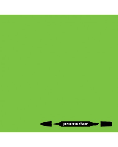 Promarker - 021 - lie de vin