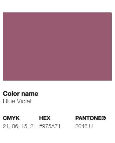 Pantone 2048U - Violet Bleu