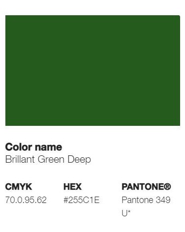 Pantone 349U - Vert Brillant Profond