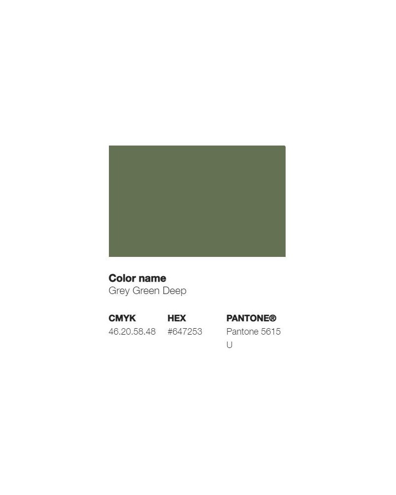 Pantone 5615U - Vert Gris Profond