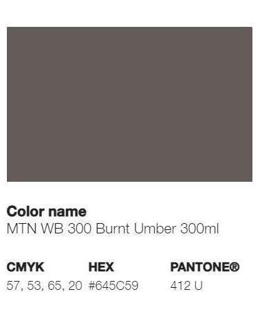 Pantone 411U - Burnt Umber
