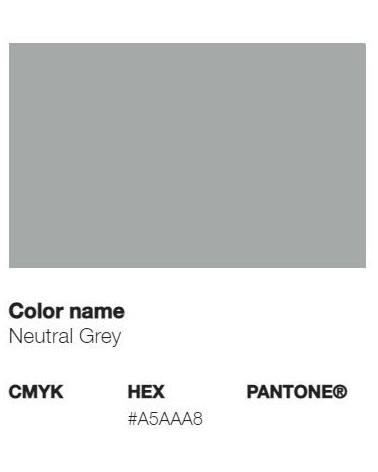 Pantone 4538U - Neutral Grey