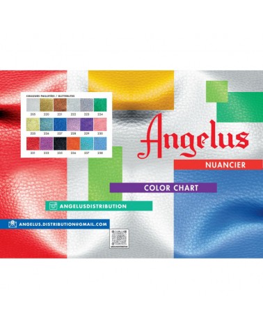 Customiser ses Sneakers + Nuancier Angelus