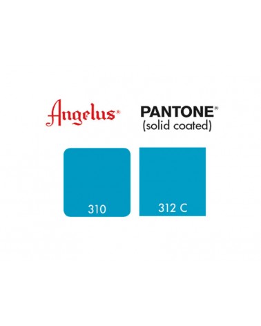 Pantone Aqua 312 C - 310 - 1 oz