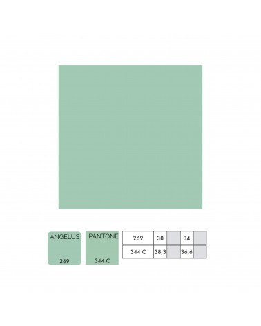 Angelus Mint Paint 269 29.5ml 