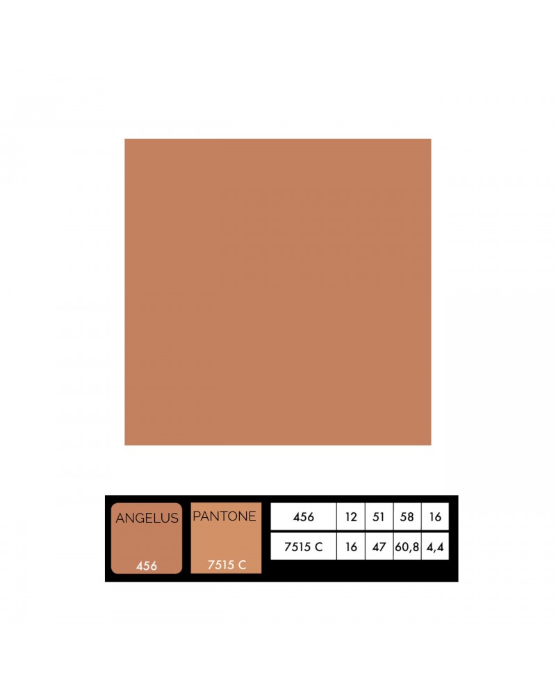 Pearlescent Rose Gold Paint