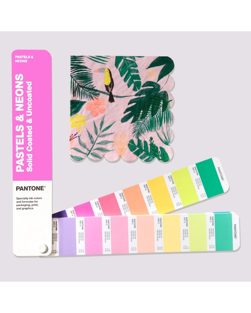 pantone color guide pastels and neons fluoresent colours GG1504B