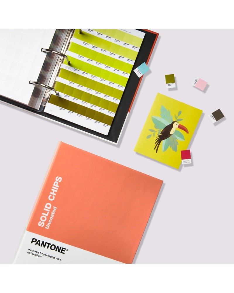 Solid Color Chips Book Coated & Uncoated GP1606B