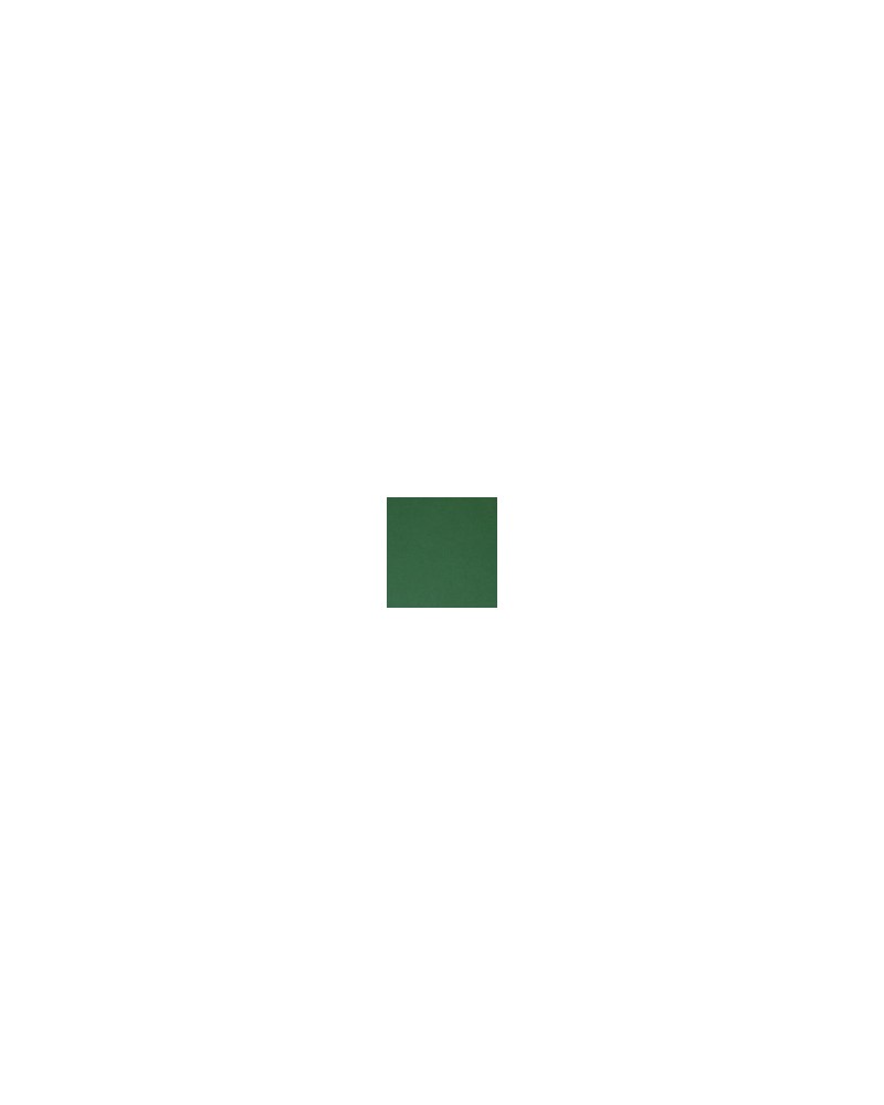PANTONE 561