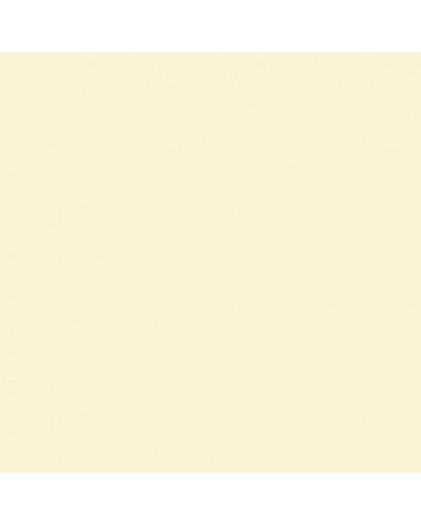 5kg de plastiline dureté 60 ivoire