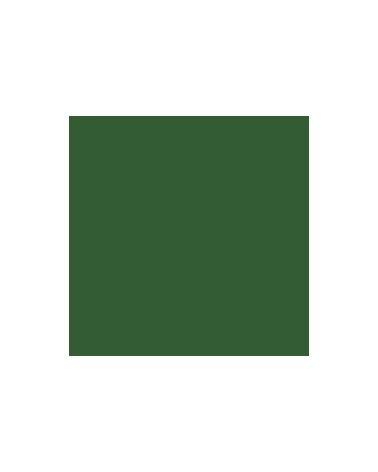 Vert Oxyde de chrome S1 - 166