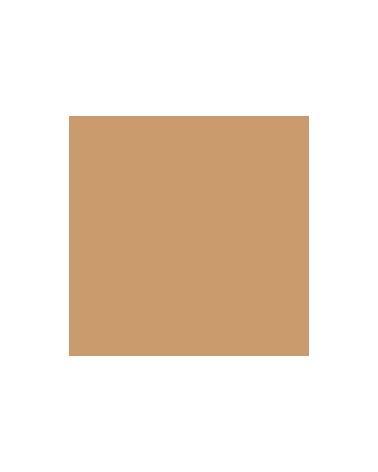 Liquitex spray paint 5330 – Raw Sienna 5 S1