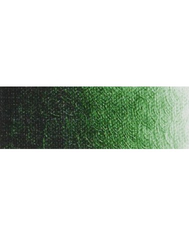 Laque vert hooker foncé extra B301 - Acrylique ARA