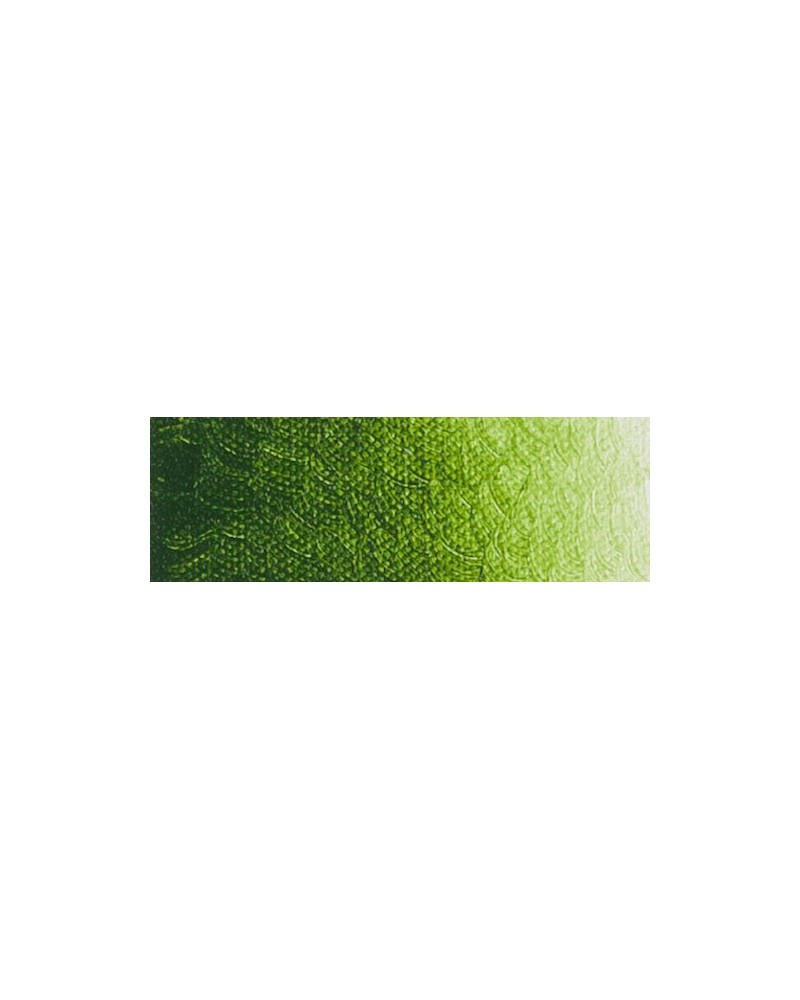 Laque vert de vessie extra C292 - Acrylique ARA