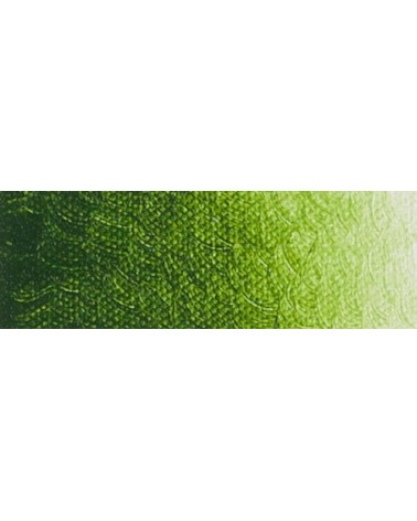 Laque vert de vessie extra C292 - Acrylique ARA