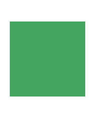 050 - vert roseaux - Kuretake Art & Graphic Twin