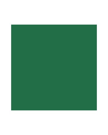 055 - terre verte - Kuretake Art & Graphic Twin