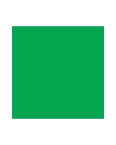 005 - vert - Kuretake TUT80