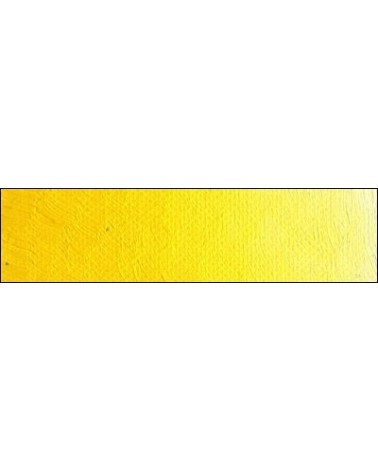 C-14 jaune Scheveningen moyen