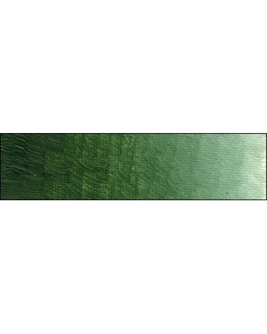 B-307 Vert olive foncé