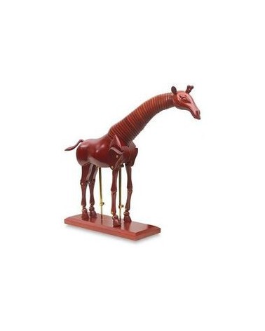 Mannequin articulés femme 30cm