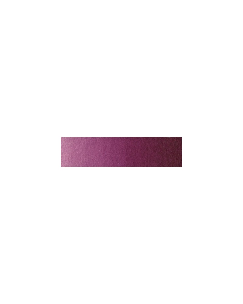 E-30 violet Scheveningen