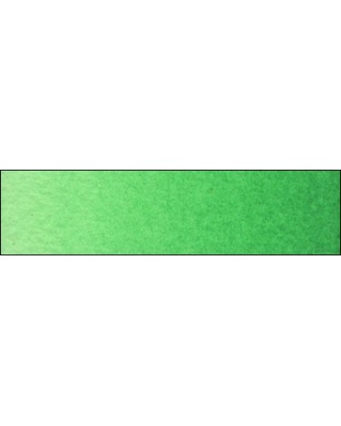 B-277 Vert fixe clair