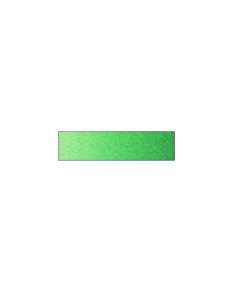 B-277 Vert fixe clair