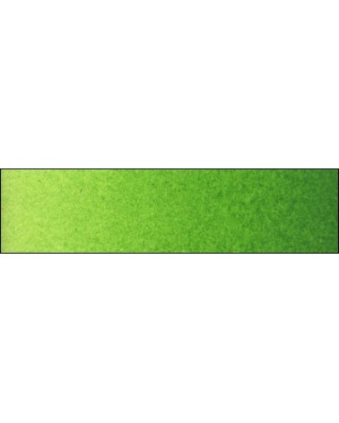 B-286 Vert Old Holland clair