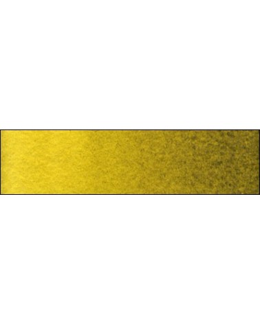 C-295 Vert d'or Old Holland