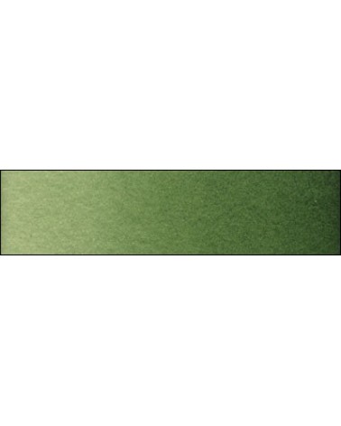 C-304 Laque vert hooker clair extra