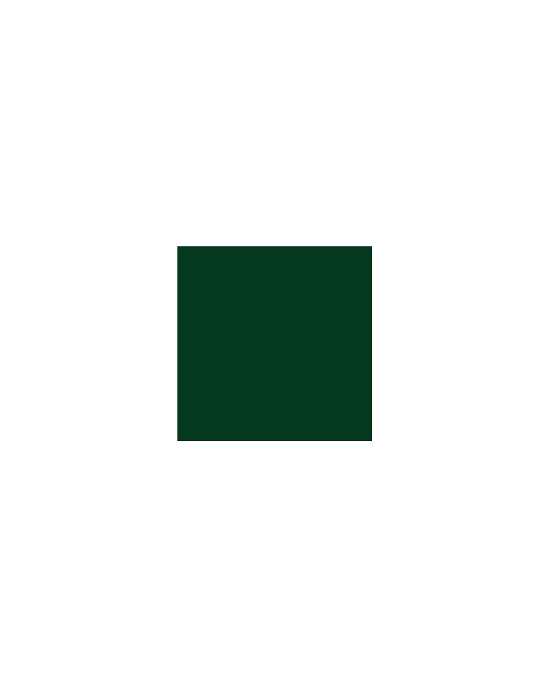 Vert Hooker 809 - Acrylique Abstract