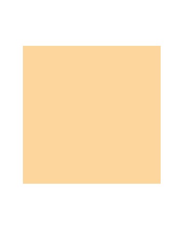 Ocre De Chair 250 - Acrylique Abstract