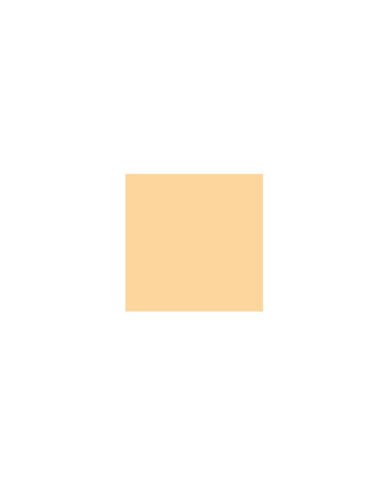 Blanc de Titane 116 - Acrylique Abstract