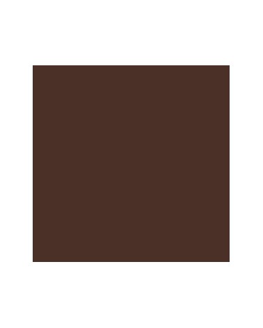 Terre d'ombre Brûlée 202 - Acrylique Abstract