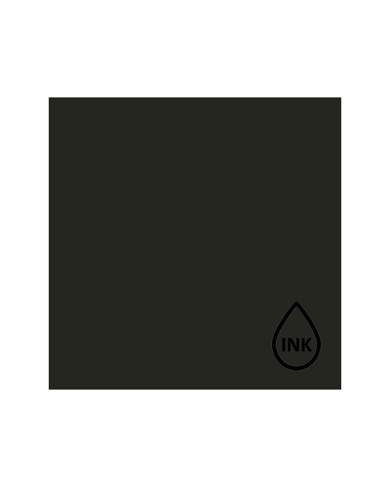 Recharge encre Copic Various Ink B24