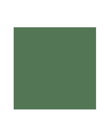 561 Vert Lamorinière