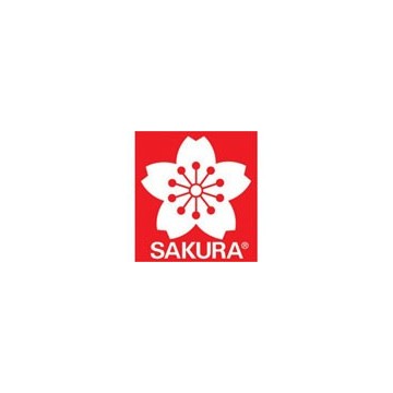 Sakura Pigma brush